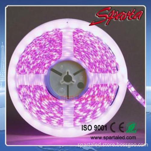 Super brightness Non-waterproof SMD5050 60leds/m LED strip light